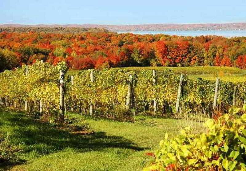 Fairfield Inn & Suites Traverse City Eksteriør bilde